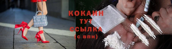 сатива Богородицк