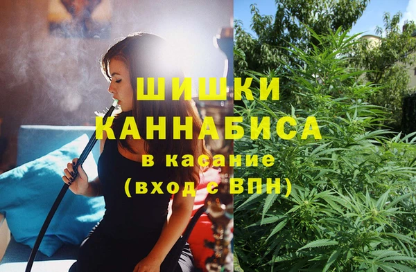 винт Белокуриха