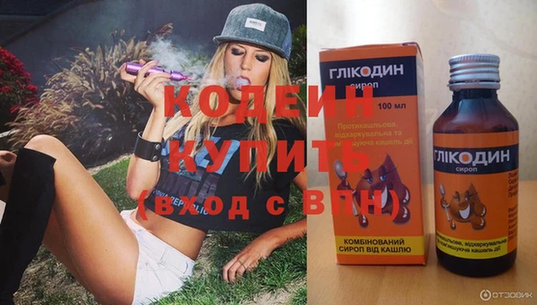 сатива Богородицк