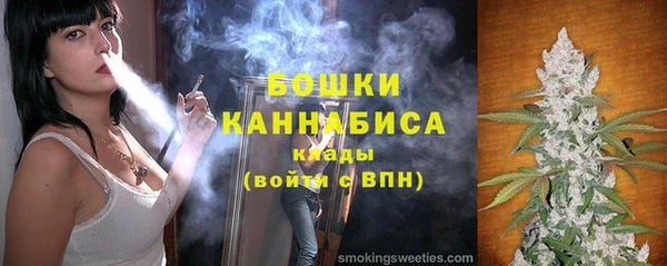 сатива Богородицк