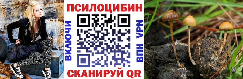 наркошоп Невель мега маркетплейс Псилоцибиновые грибы Psilocybe